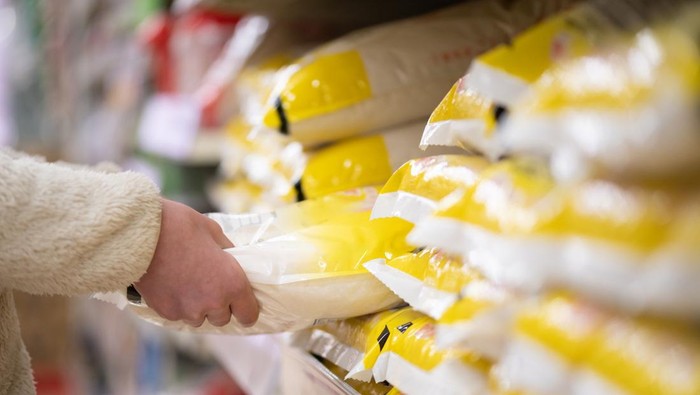 Stok Beras Diklaim Melimpah Tapi Harga Masih Tinggi, Ini yang Terjadi!